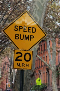 Speed Bump Sign